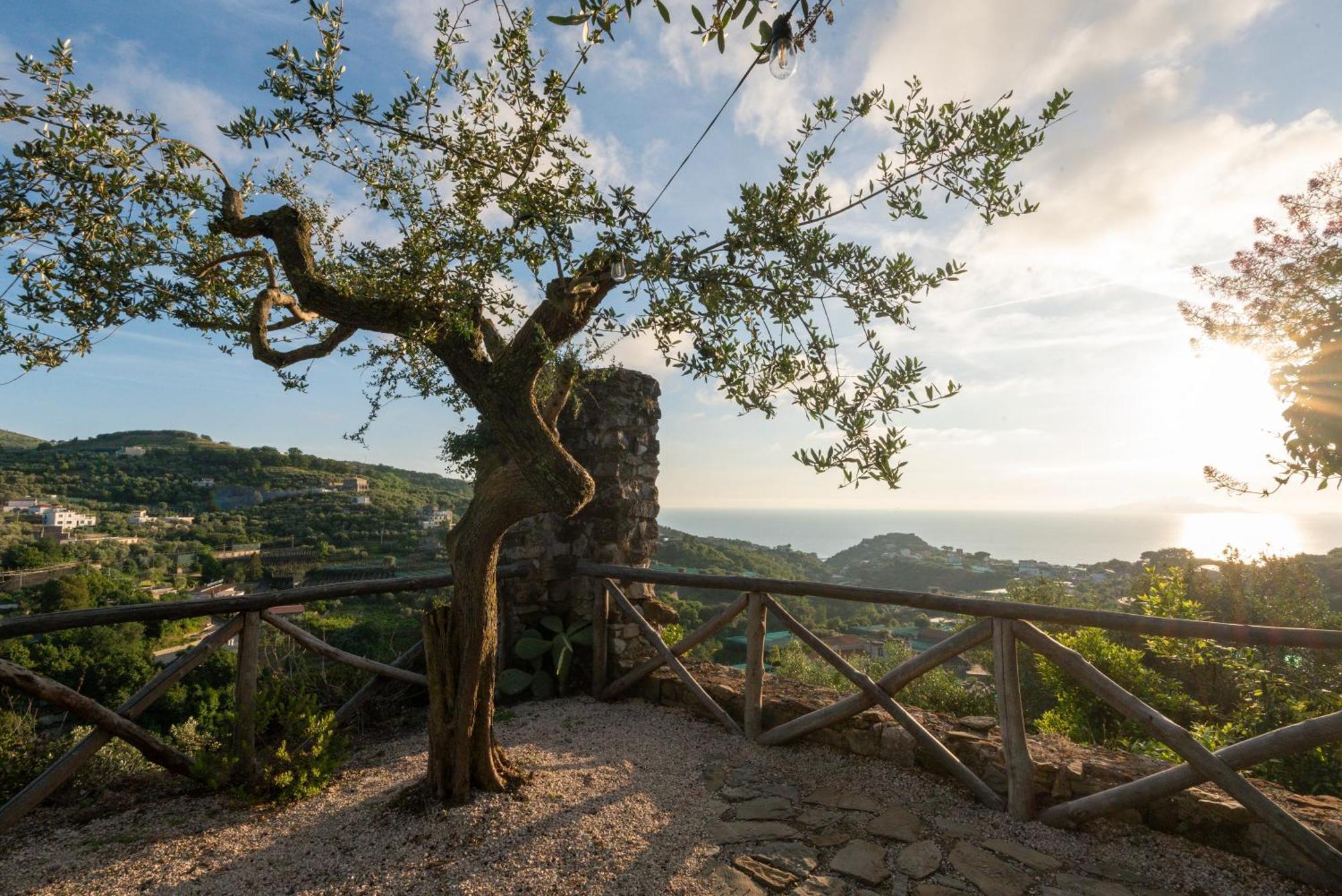 Villa Il Turro มัสซาลูเบรนเซ ภายนอก รูปภาพ